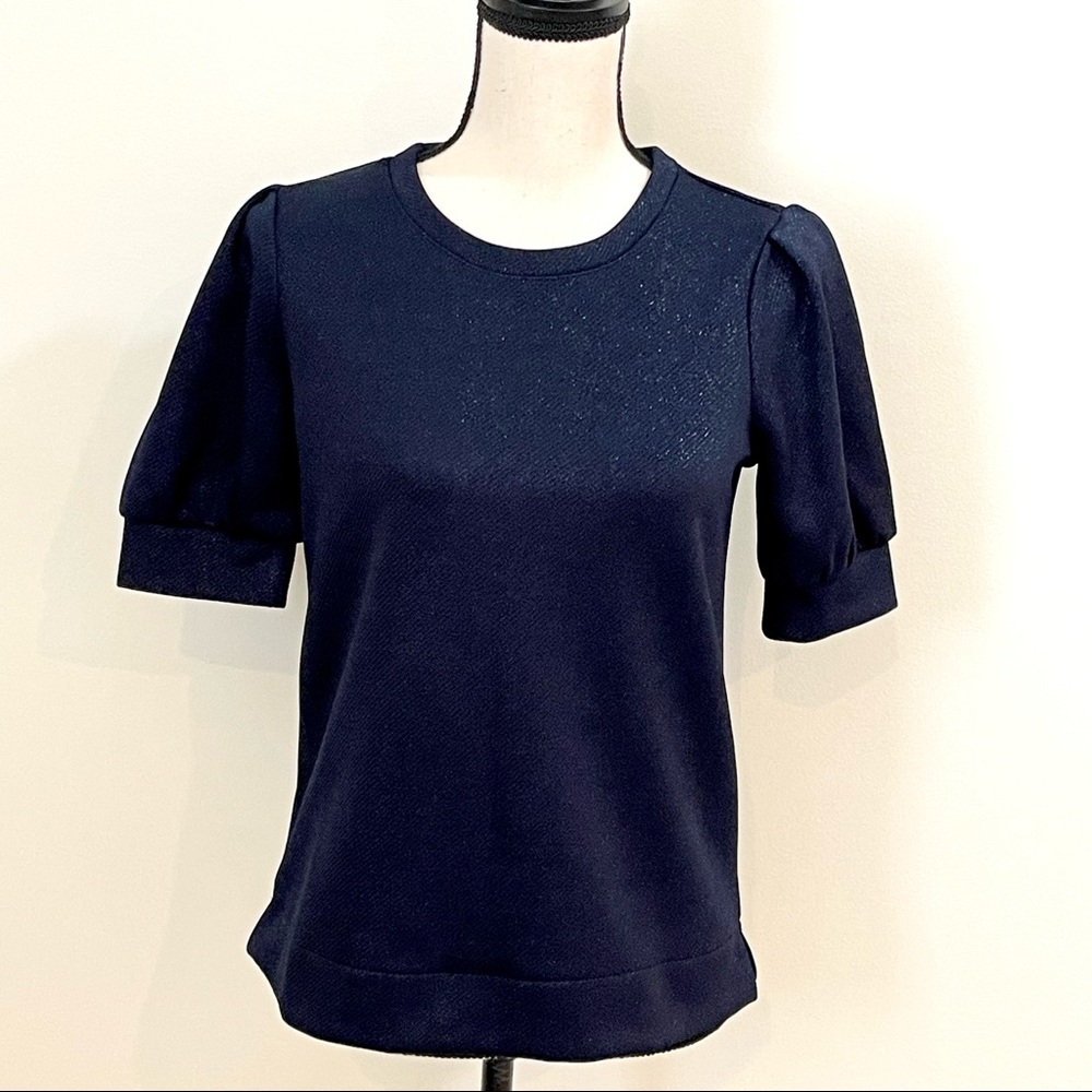 NWT Ann Taylor Shimmer Top